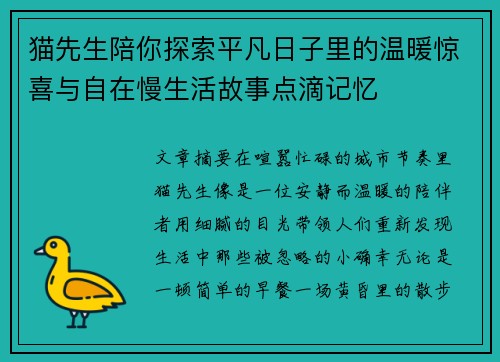 猫先生陪你探索平凡日子里的温暖惊喜与自在慢生活故事点滴记忆
